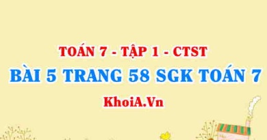 Bài 5 trang 58 SGK Toán 7 chân trời sáng tạo tập 1
